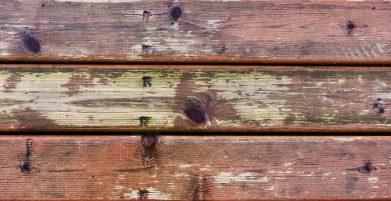 /how-to-get-rid-of-mold-on-wood-furniture
