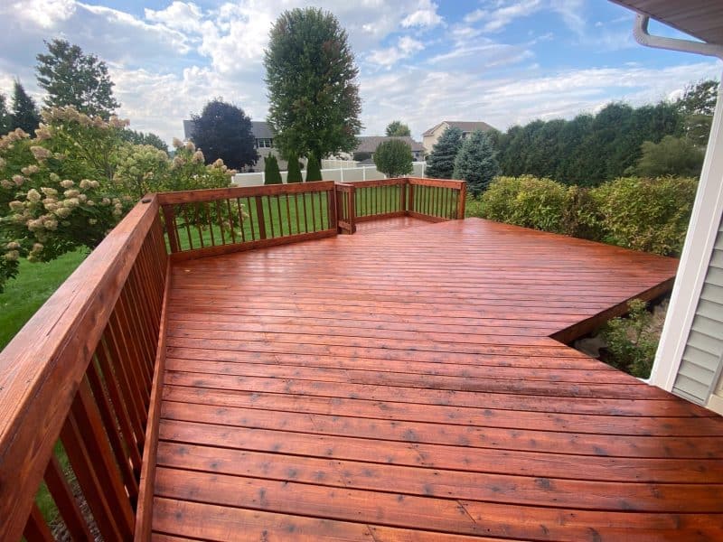 Best Time to Stain a Fence