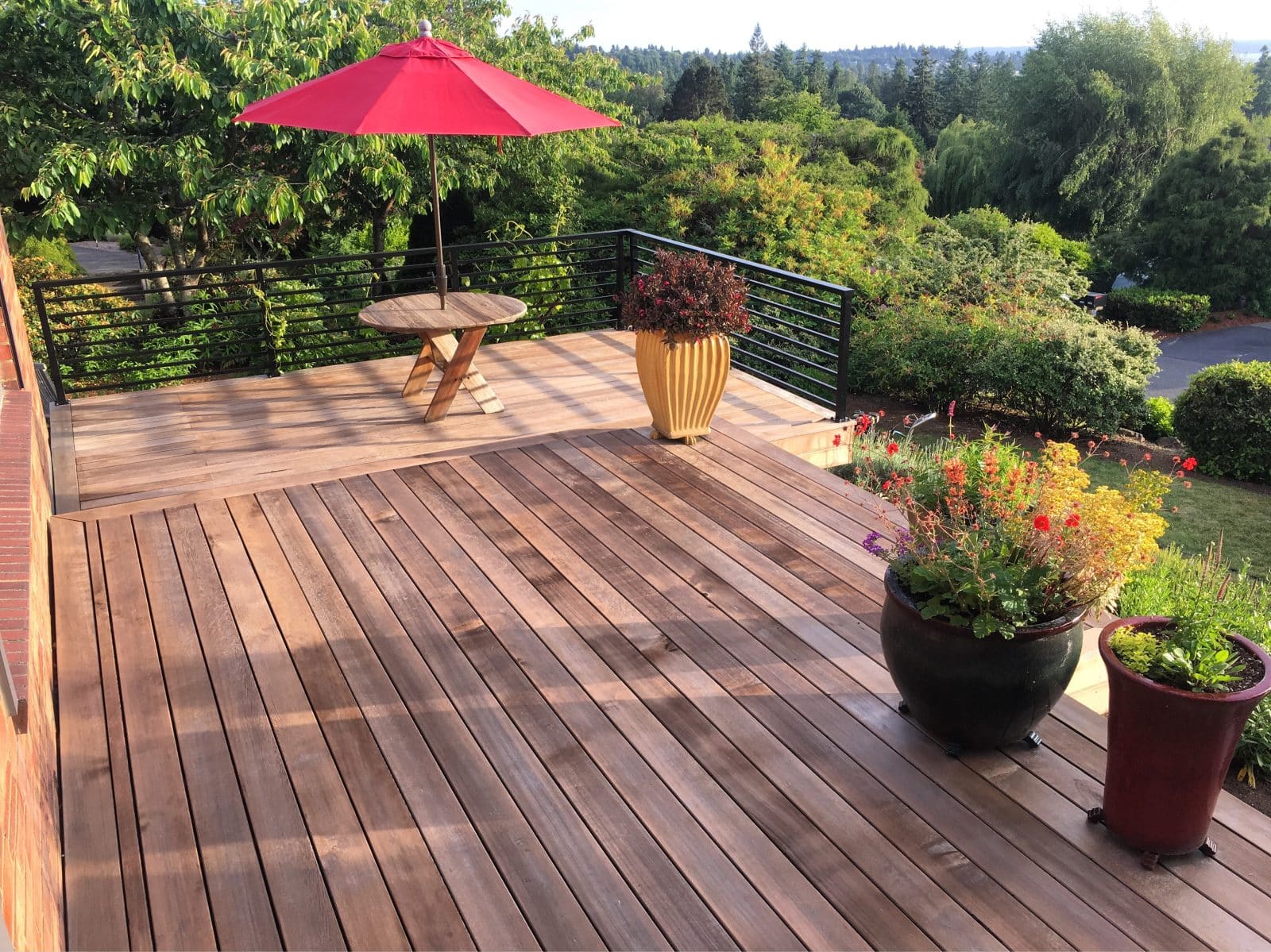 Cedar Wood